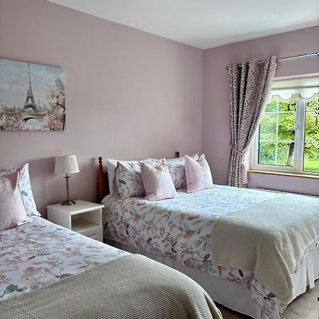 The Lodge Self Catering Castlerea Buitenkant foto